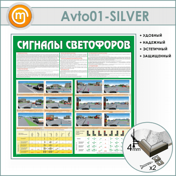 ����� �������� ���������� (AV-01-SILVER)
