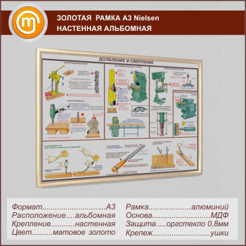 �������� ��������� ����� �Nielsen� �3 �������, ���������, ������� ������