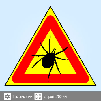 ���� ������, B99 (�������, ������� 300 ��)